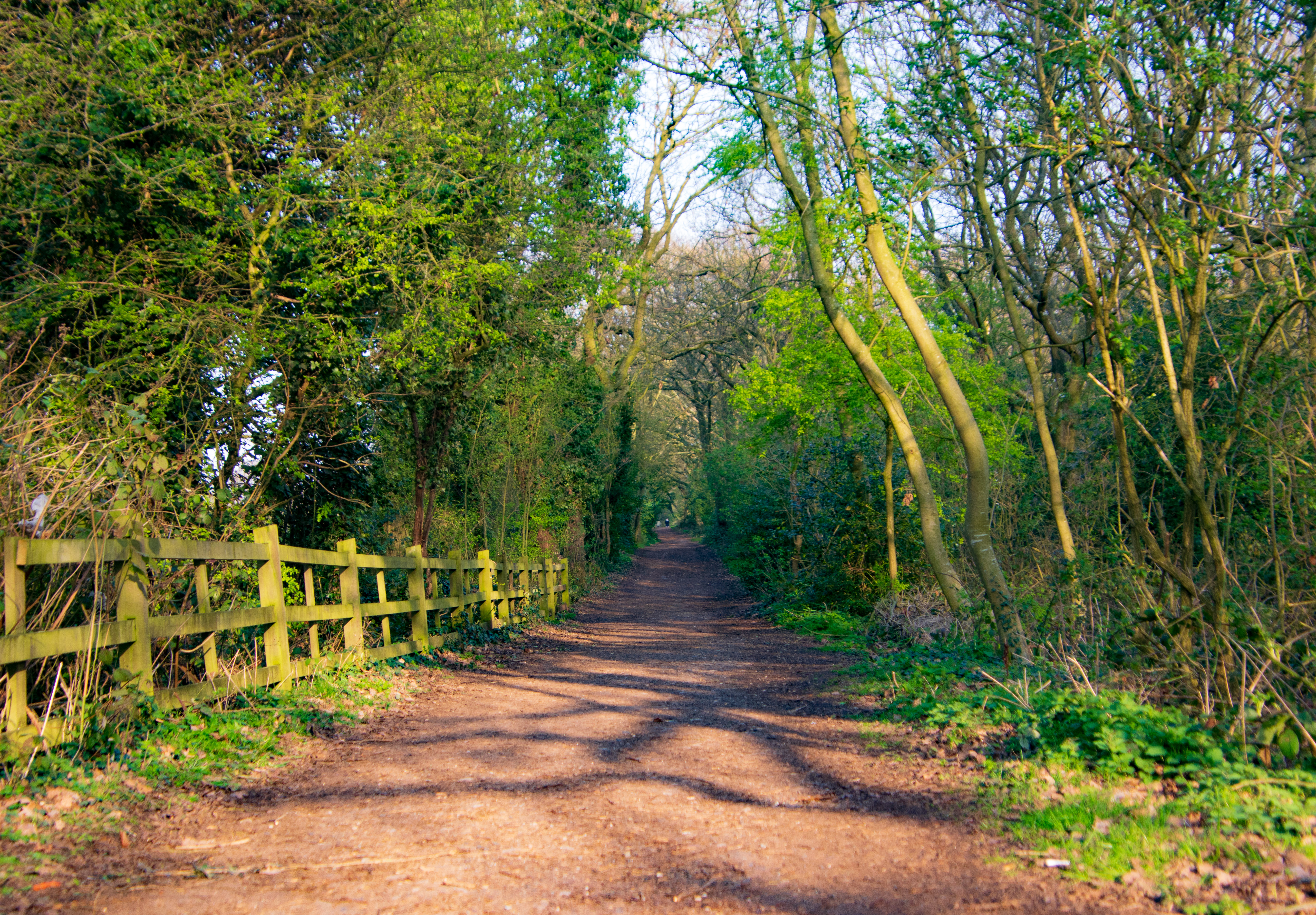 Woman dies after entering water in Sandwell Valley Country Park