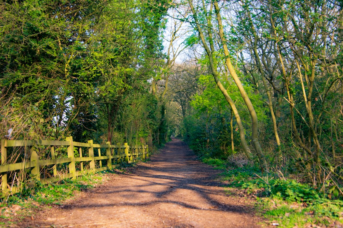 Woman dies after entering water in Sandwell Valley Country Park