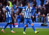 Brighton winger Solly March returned to the first team