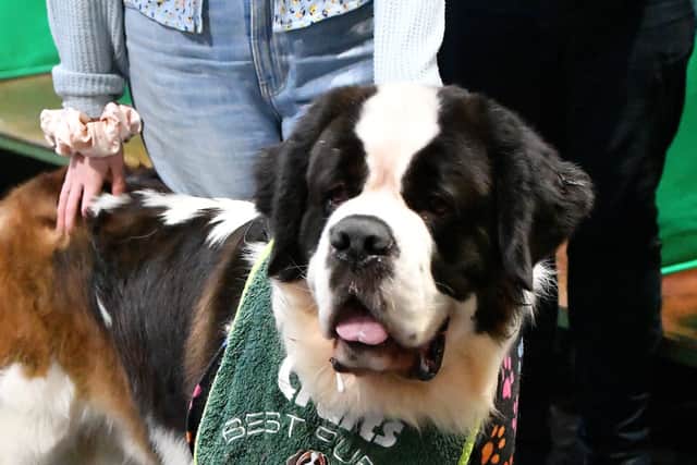 First day of Crufts at the NEC Birmingham.