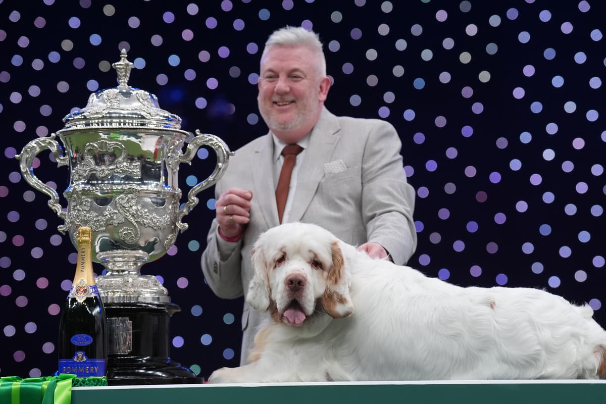 Cruffys Petition to strip Crufts 2026 'Best in Show' winner of title after ...