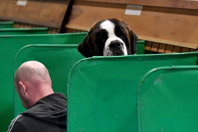 First day of Crufts at the NEC Birmingham.