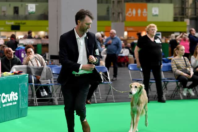 Crufts 2025