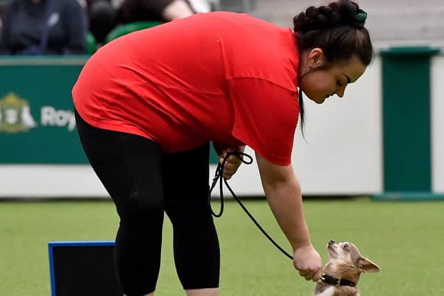 First day of Crufts at the NEC Birmingham.