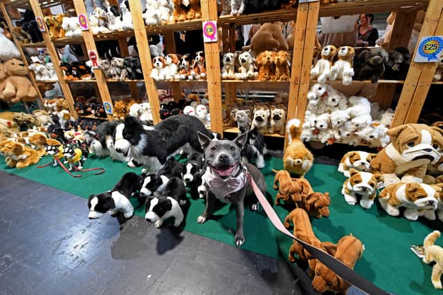 Crufts 2025