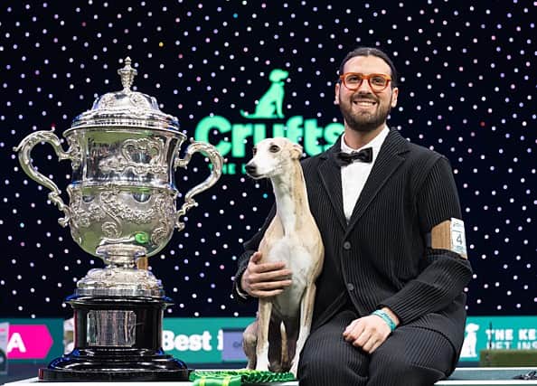 Giovanni Liguori, from Italy, with Miuccia, a Whippet, who won the coveted title of Best in Show at Crufts 2025. Photo: BeatMedia, The Royal Kennel Club