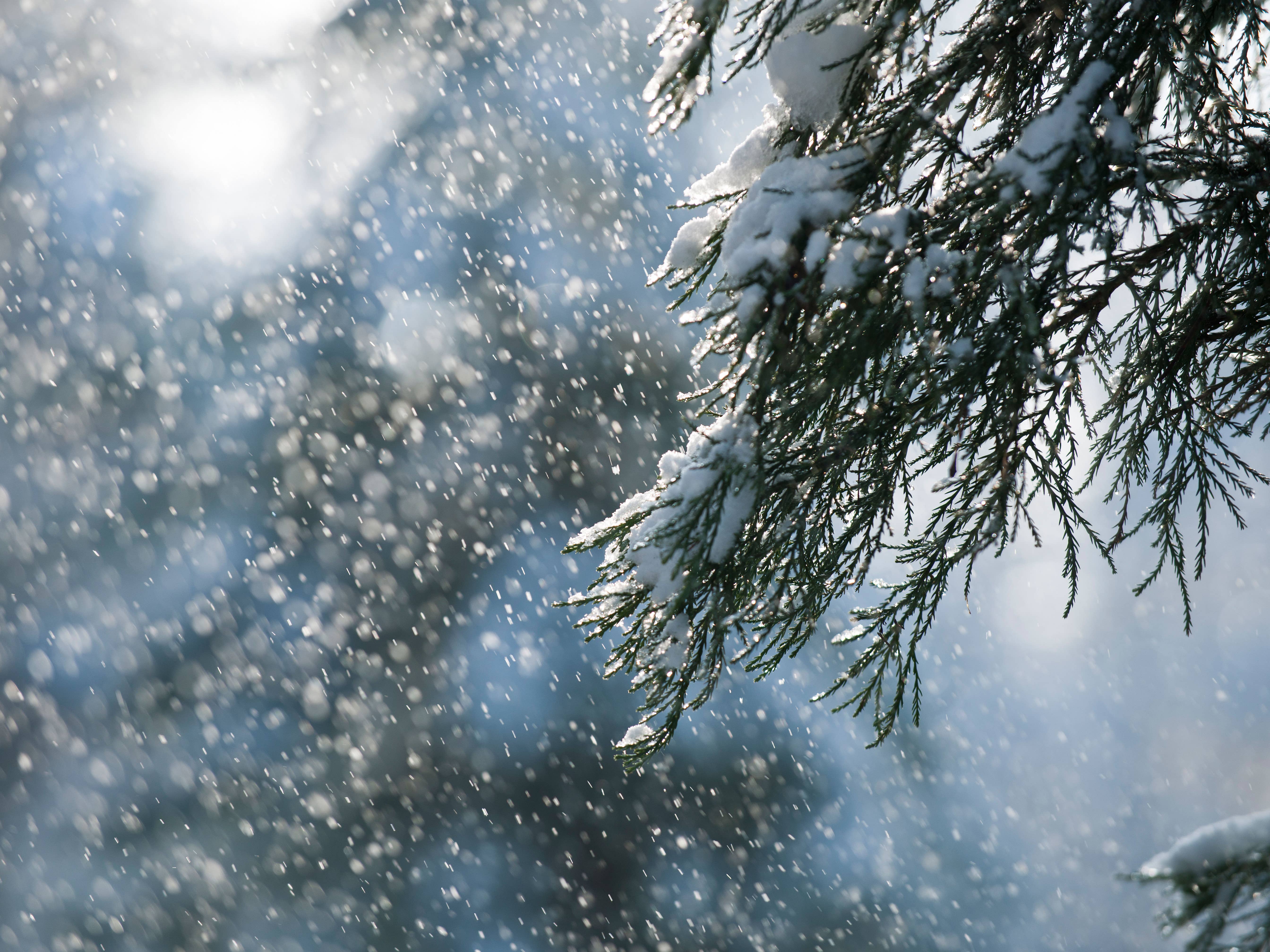 Snow showers expected in parts of the UK during ‘brief cooler spell’