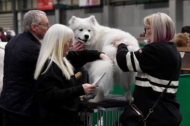 First day of Crufts at the NEC Birmingham.