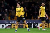 Rodrigo Gomes celebrates his goal
