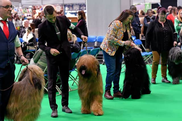 First day of Crufts at the NEC Birmingham.