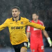 Joao Gomes (Photo by Brett Patzke - WWFC/Wolves via Getty Images)