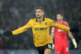 Joao Gomes (Photo by Brett Patzke - WWFC/Wolves via Getty Images)