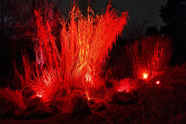Tipping Point art installation at Botanical Gardens, part of Birmingham Light Festival