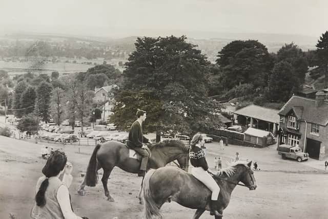 The Clent Hills, pictured in September 1970: 'Summer scene... with trees, fine views, the tang of country air - and day trippers' cars under the grassy slopes of the Clent Hills. Here's the opportunity for thousands of Midlanders to escape the bustle of town life  - and even make the switch from four wheels to "four legs and a tail."