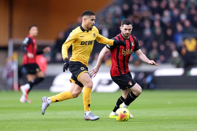 Joao Gomes (Photo by Alex Livesey/Getty Images)