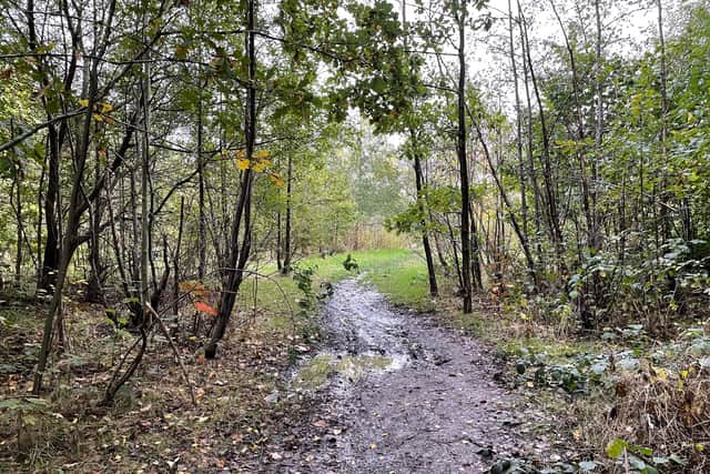 Photo taken by LDR Rachel Alexander 
Permission for use for LDR partners
Story: Clearance of Walsall woodland paused as government reviews school building programme 
