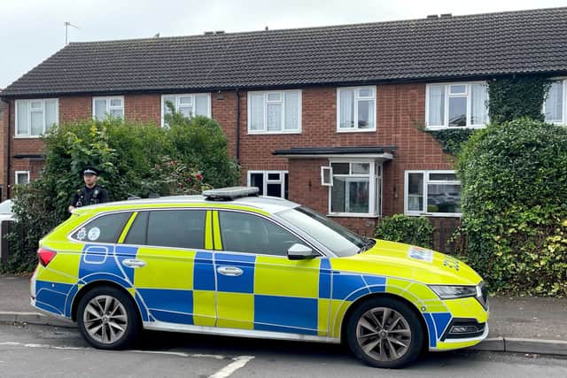 Dog owner sentenced after fatal XL bully attack by two dogs on streets ...