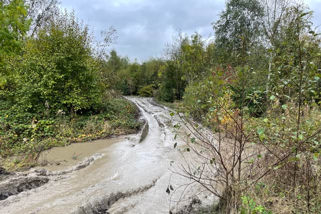 Story: Walsall woodland created to celebrate Queen’s Jubilee under threat
Photo taken by LDR Rachel Alexander October 2024 
Permission for use for LDR partners 
Reedswood Park, Walsall 