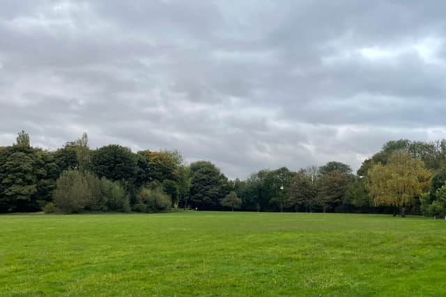 Story: Walsall woodland created to celebrate Queen’s Jubilee under threat
Photo taken by LDR Rachel Alexander October 2024 
Permission for use for LDR partners 
Reedswood Park, Walsall