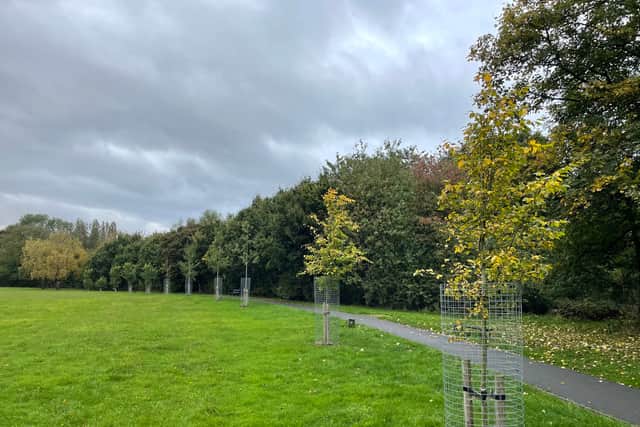 Story: Walsall woodland created to celebrate Queen’s Jubilee under threat
Photo taken by LDR Rachel Alexander October 2024 
Permission for use for LDR partners 
Reedswood Park, Walsall