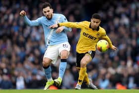 Joao Gomes (Photo by Brett Patzke - WWFC/Wolves via Getty Images)