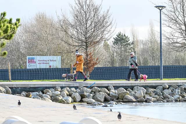 Telford has been named the UK's Dog Capital with an incredible 8.2 dogs per 20 people. January 7 2026.  