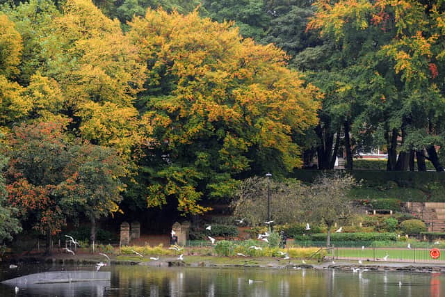 The arboretum is a favourite for many Walsall locals