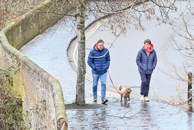 Telford has been named the UK's Dog Capital with an incredible 8.2 dogs per 20 people. January 7 2026.  