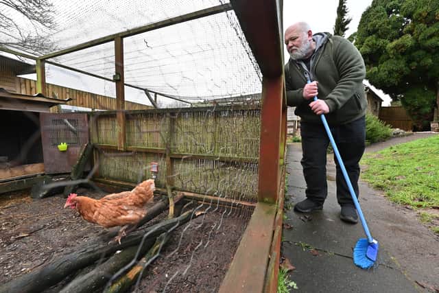 Neil Swan with chickens moved to a different enclosure.