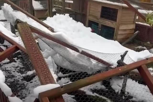 Damage caused by the storm. Image: Brockswood Animal Sanctuary