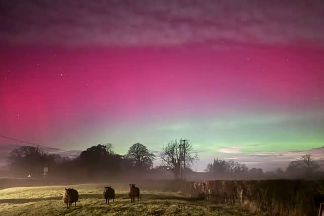 Sue Austin took this lovely photograph in Ellesmere