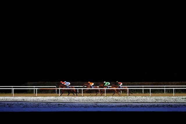 Saffron Dandy ridden by Sean Levey on their way to winning the Bet 10 Get 40 With BetMGM Handicap at Wolverhampton Racecourse. Picture date: Tuesday January 6, 2026. PA Photo. Photo credit should read: David Davies/PA Wire.
RESTRICTIONS: Use subject to restrictions. Editorial use only, no commercial use without prior consent from rights holder.