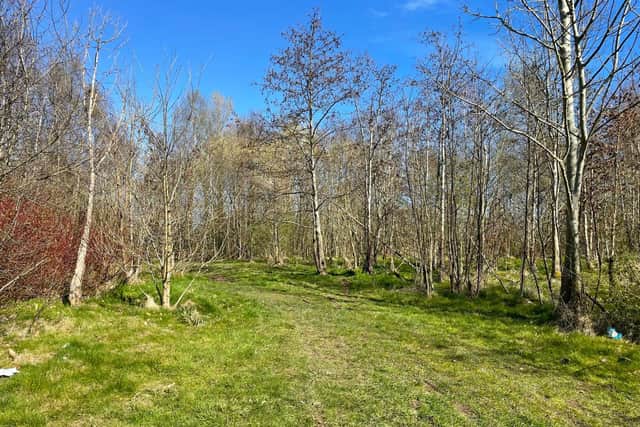 Site proposed for new free school next to Reedswood Park
