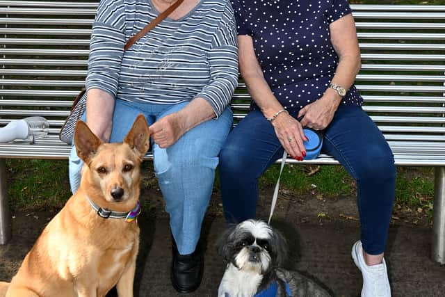 Gill Court and Pam Hawkins with their dogs Aris and Benji