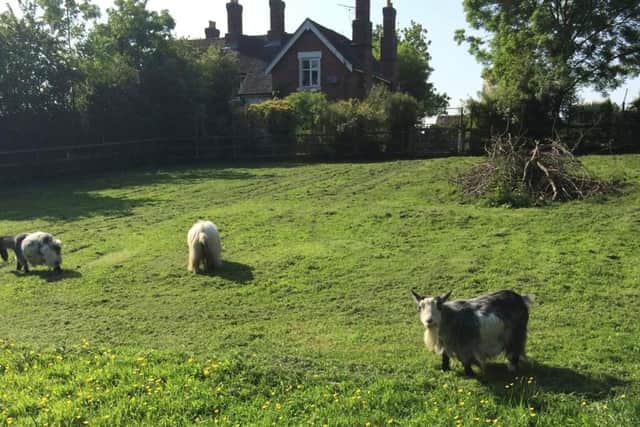 The garden at the property, near Penkridge