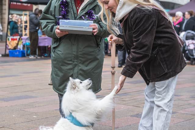 Even fluffy friends were being welcomed to the event. Photo: Ian Knight / Z70 Photography