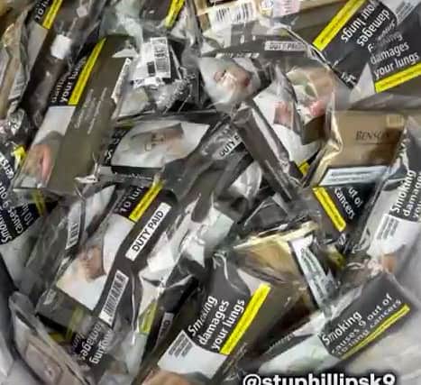 Illegal tobacco (Credit: Stu Phillips K9/Wolverhampton Council)