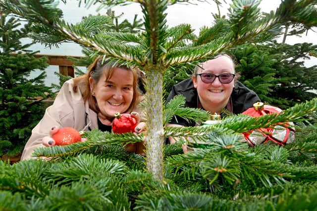 Staff members Jan Sedgley and Jess Bowrin put out some decorations in the nursery