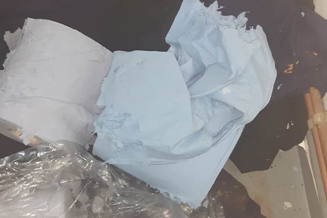 Chew marks were discovered on paper towels