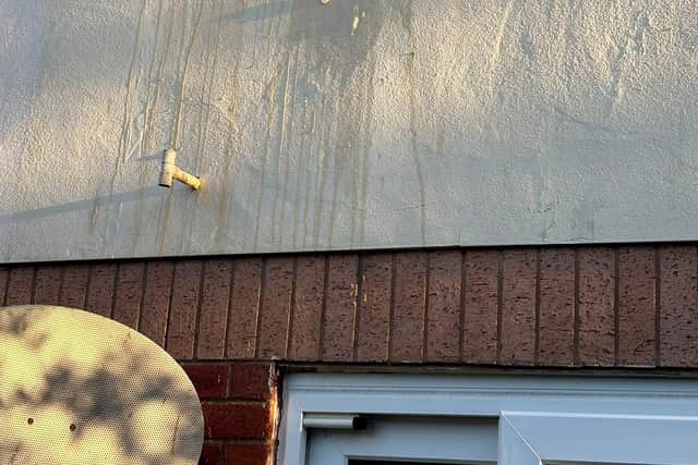 Egg on the wall of Celine Lockyer's Worcester home.