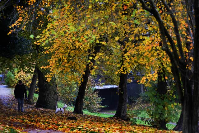 Victoria Park, Darlaston