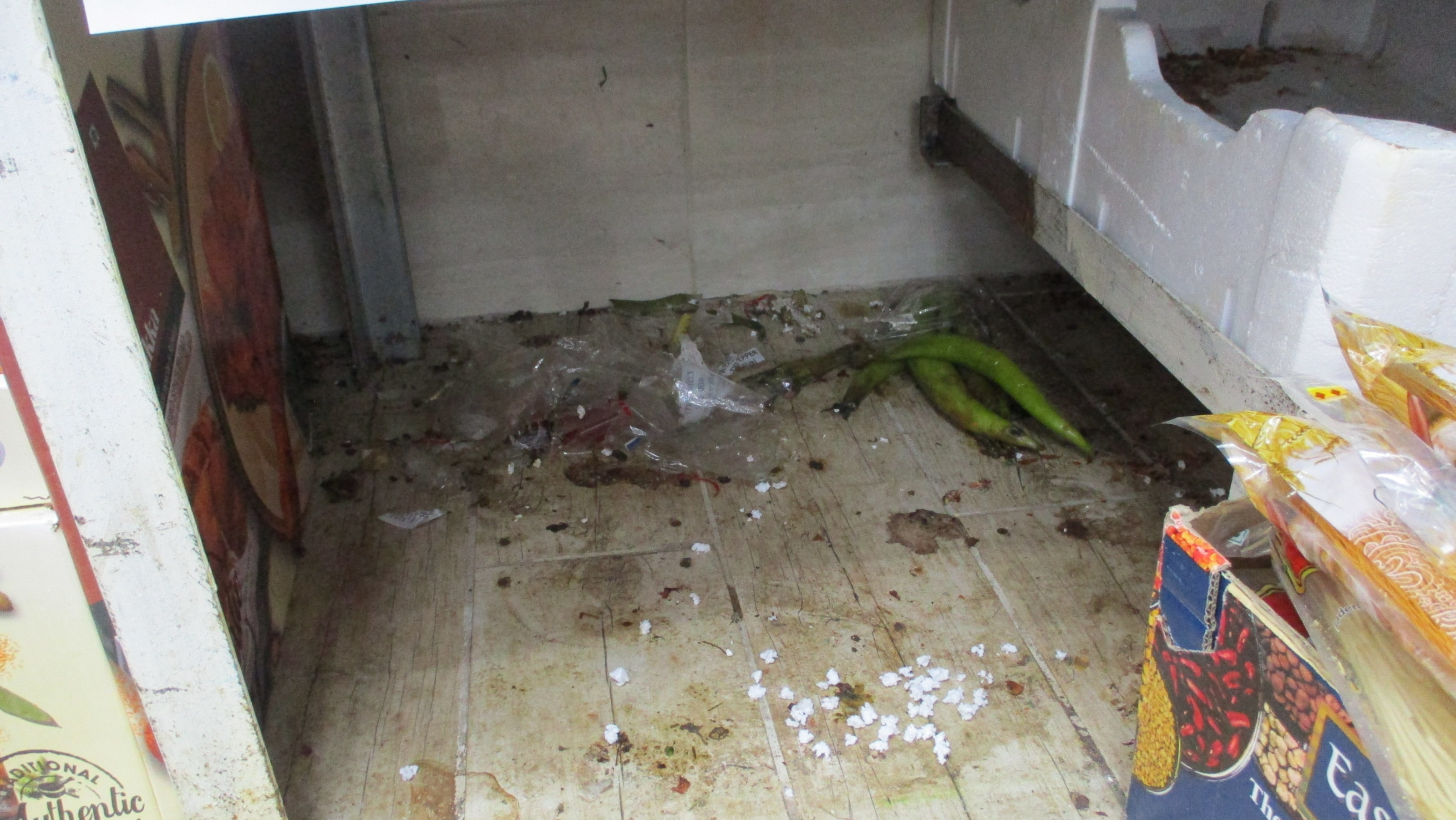 Lye butchers temporarily shut down after council officers find evidence ...