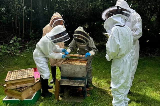 Beekeepers on their beekeeping journey last year inspecting a hive of honeybees