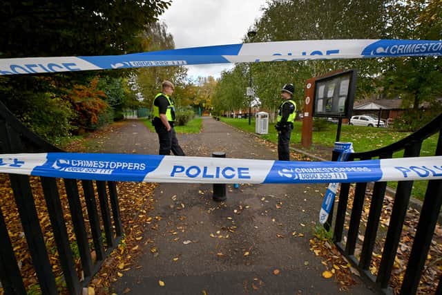 Phoenix Park has been the setting for two violent incidents