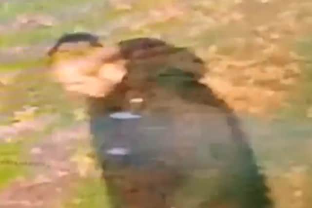 The man was described as white, in his 30s, with a short hair and was wearing dark clothing