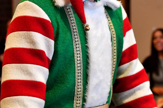 TV star and author David Walliams said he loved entertaining the children and talking about the importance of books