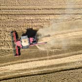 A field of wheat is harvested 