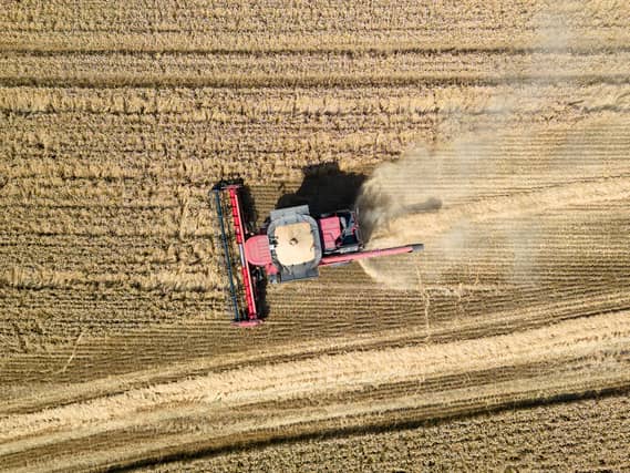 A field of wheat is harvested