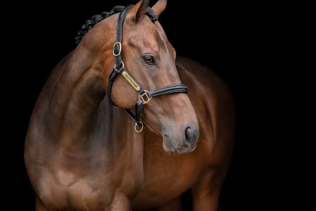 'Gold' winning image from The Guild of Photographers 2024 'Image of the Month' competition