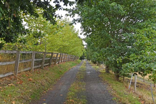 The driveway leading to the estate.